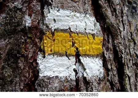 Mark on a tree