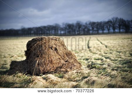 Pile of hay