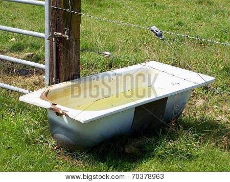 trough