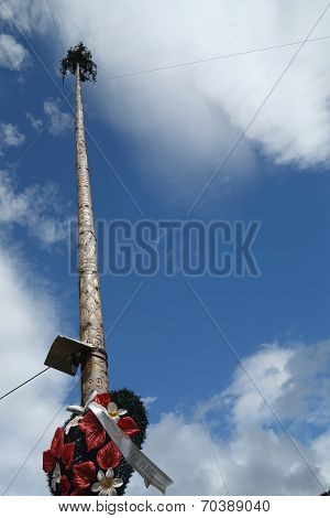 The Fir Tree