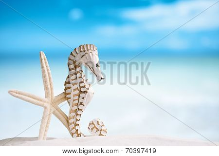 seahorse with white starfish on white sand beach, ocean,   sky and seascape, shallow dof