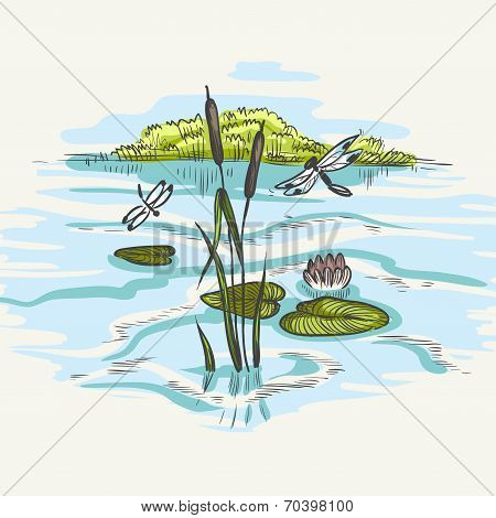 Natural Background Of Green Reeds