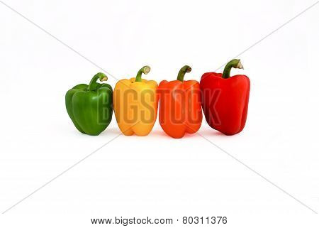 Peppers in four colors