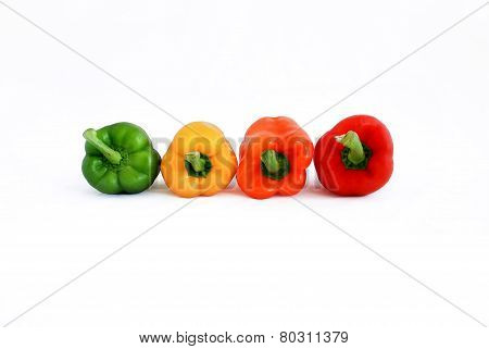 Peppers in four colors