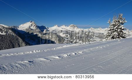 Winter Scenery Near Gstaad