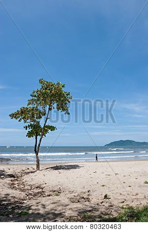 Tropical Beach