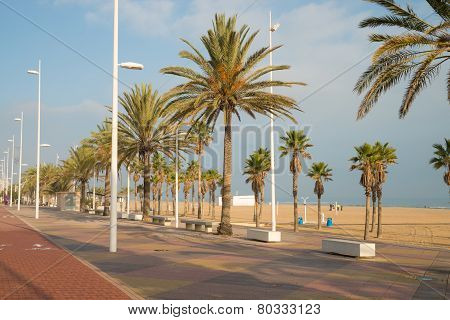 Gandia Beach Promenade