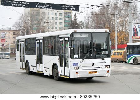 Nefaz 5299