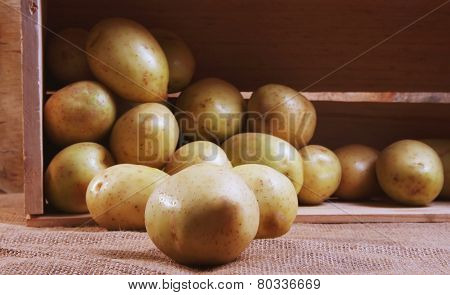 Potatoes
