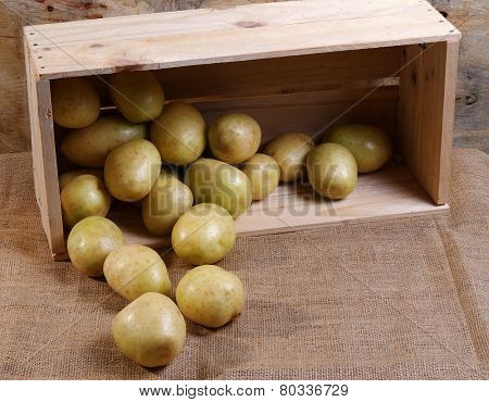 Potatoes