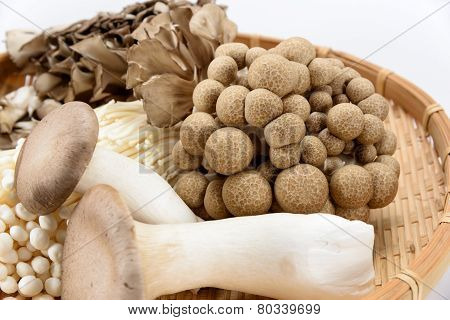 Assorted Of Mushrooms