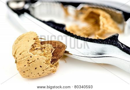 Almond Shell Cracked Open With Nut Cracker Against White