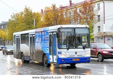 Nefaz 5299