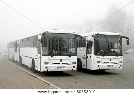Nefaz 5299
