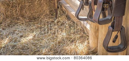 Riding Horse Equipment