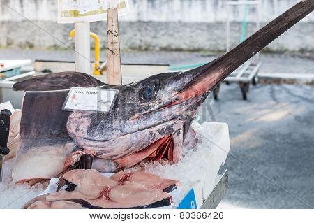 Swordfish