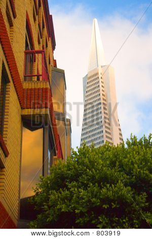 San Francisco 