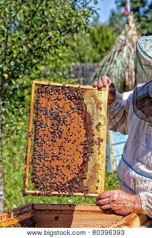 Frame with honeycombs with honey