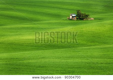 Green field waves with hut, South Moravia, Czech Republic