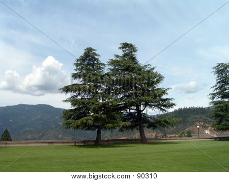 Park na Shasta Dam