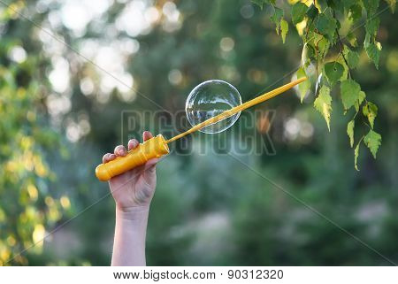 Soap bubble