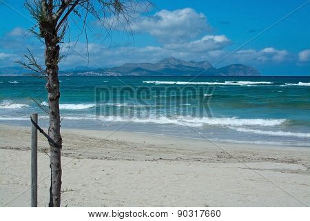 Sunny beach with waves and turquoise ocean