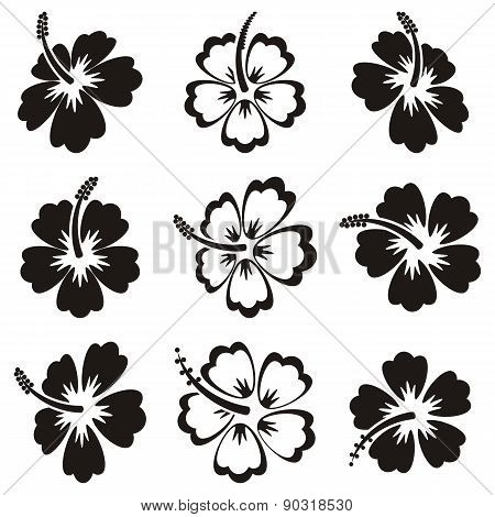 Vector Hibiscus Silhouette Icons