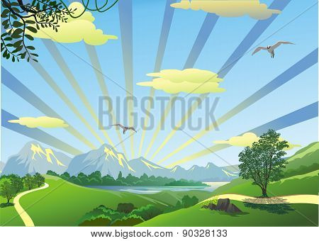 Landscape - Morning On A Forest Path In Vector