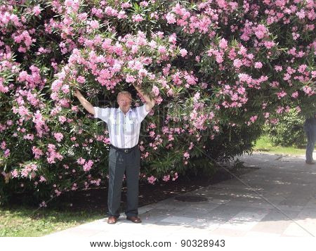 Beautiful multi-colored and monophonic exhausting aroma pleasant growing on beds, lawns, in fields and on trees flowers