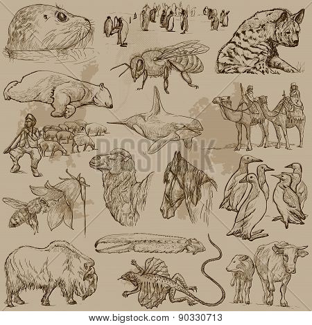 Animals - Hand Drawn Vector Pack