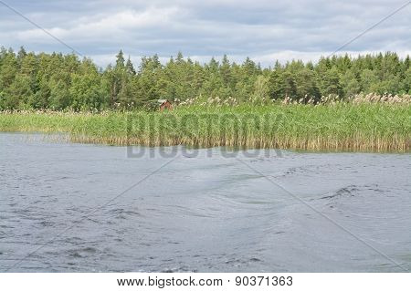 Lake landscape