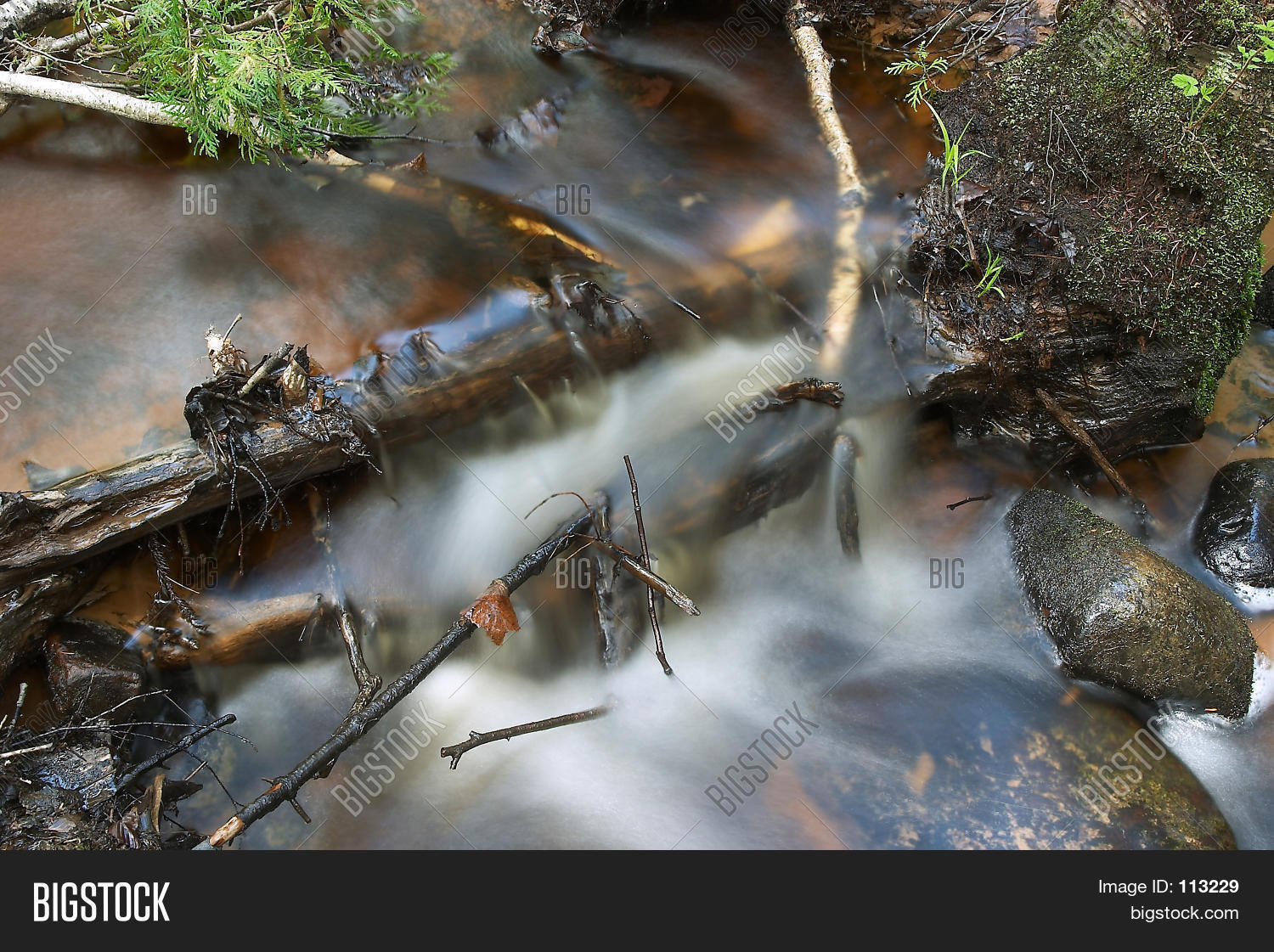 Image Preview