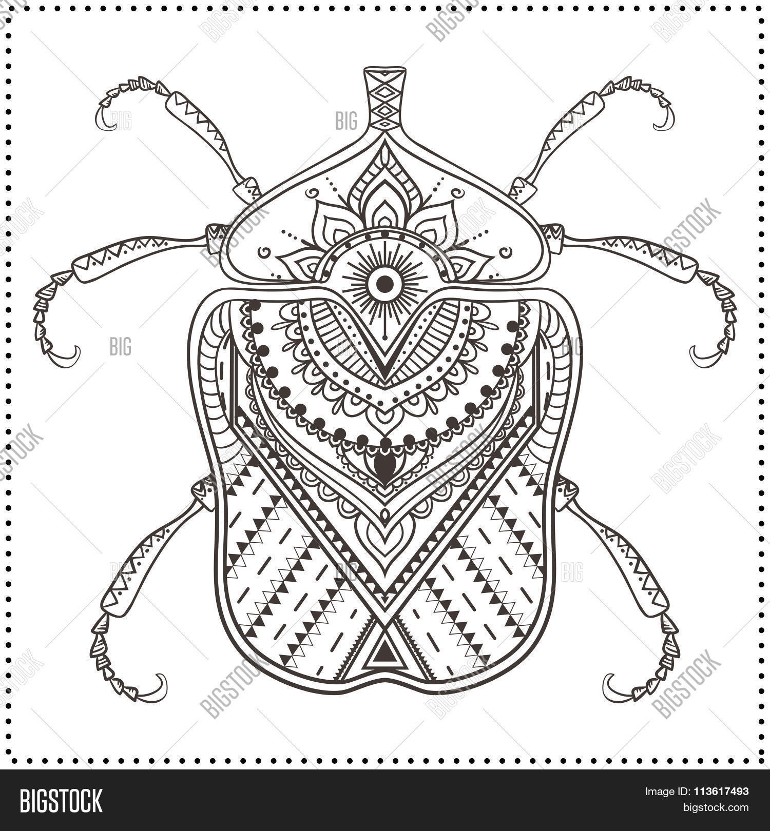 Image Preview