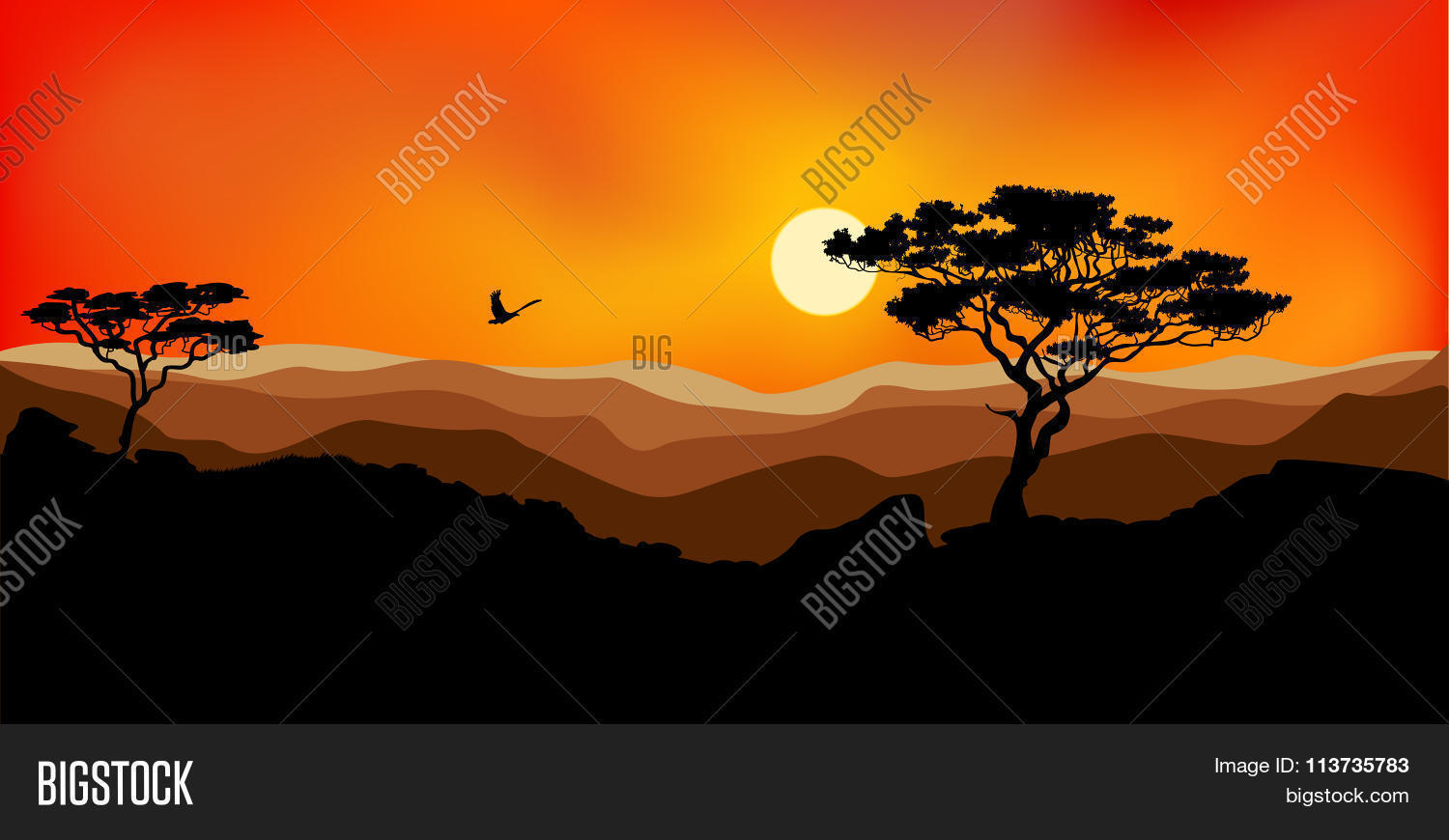 Image Preview
