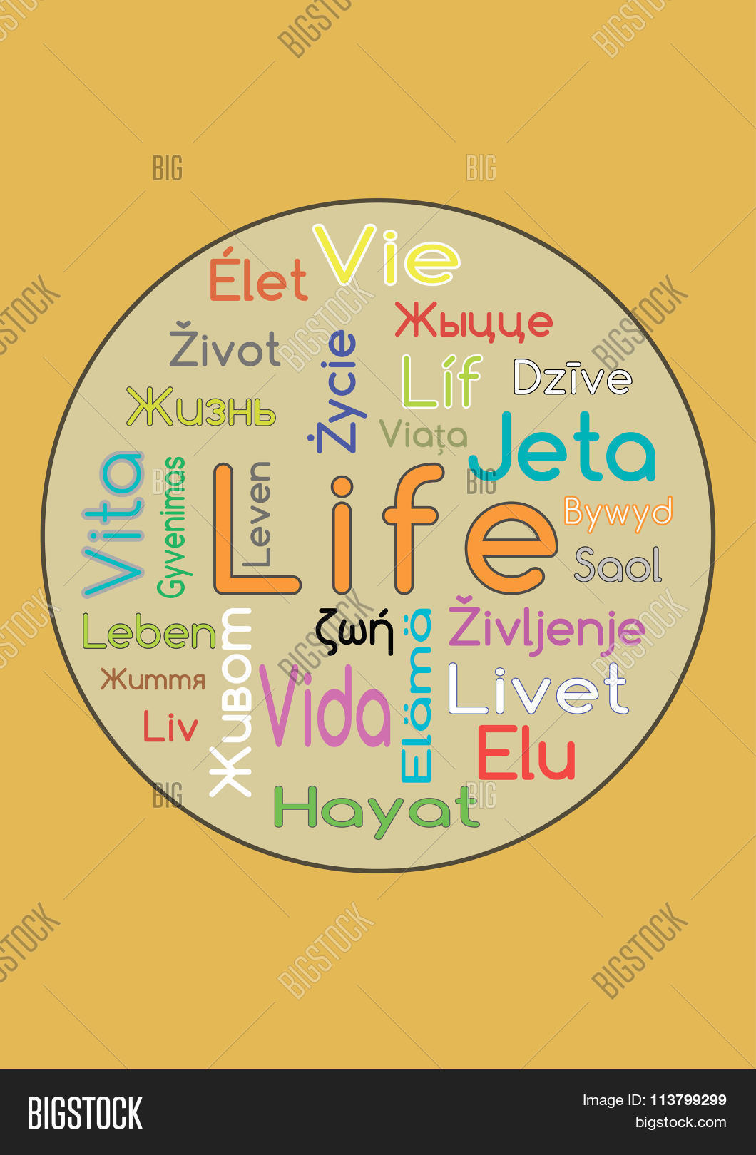 Image Preview
