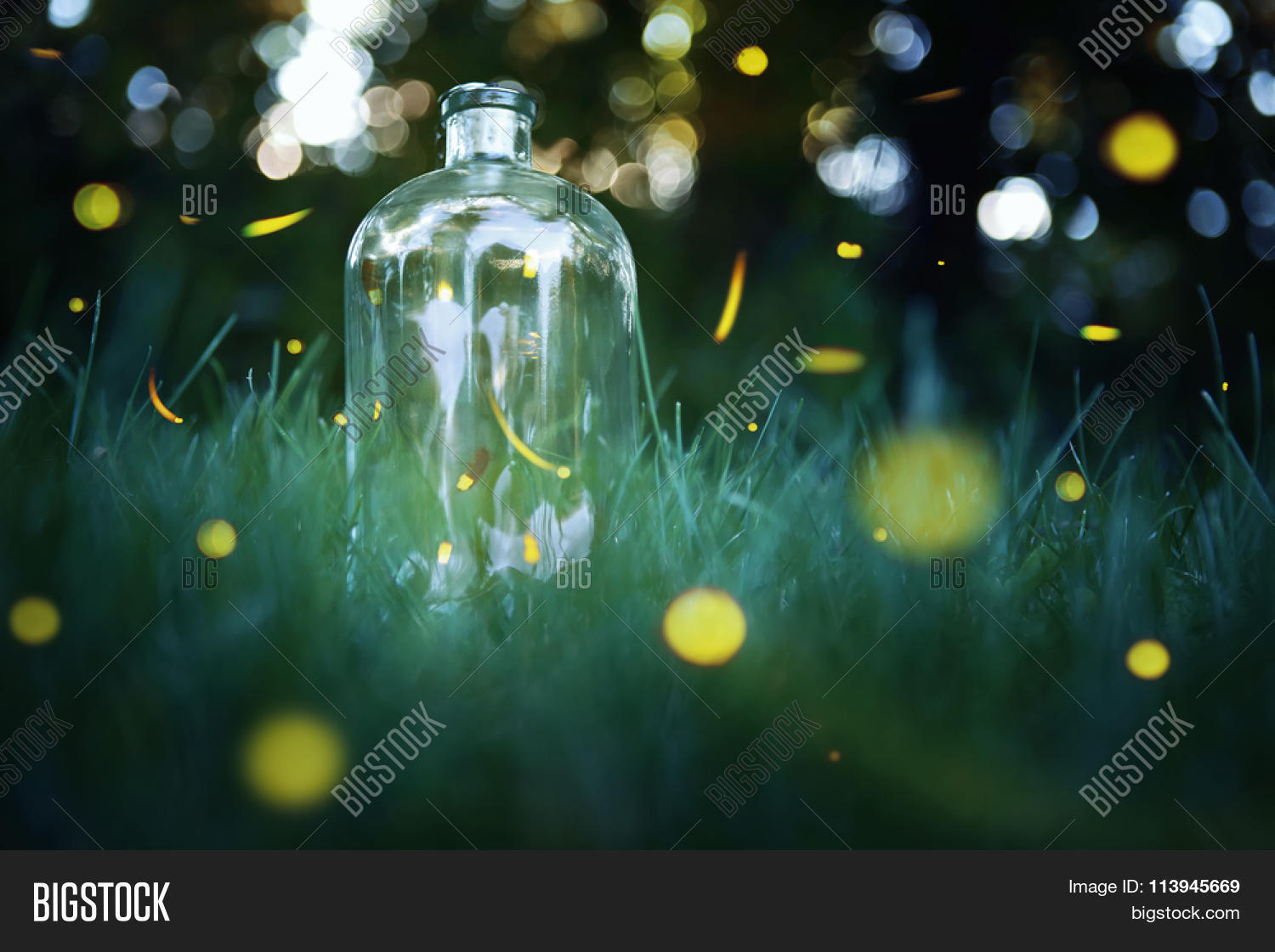 Fireflies Jar. Long Exposure Image for Fireflies In A Jar Cover Photo
279cpg Fireflies Jar. Long Exposure Image for Fireflies In A Jar Cover Photo
279cpg