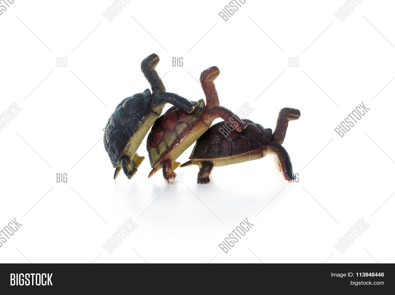 Three Toy Tortoises Image & Photo (Free Trial) Bigstock