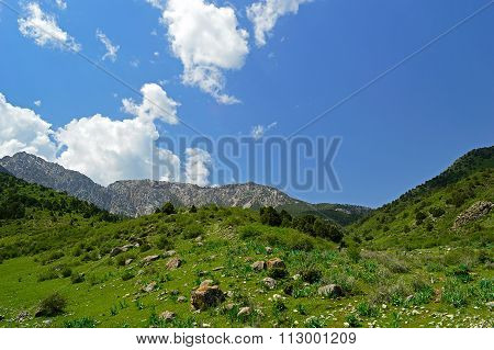 Mountain Range "katran"