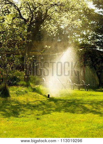 Gardening. Lawn Sprinkler Spraying Water Over Grass.