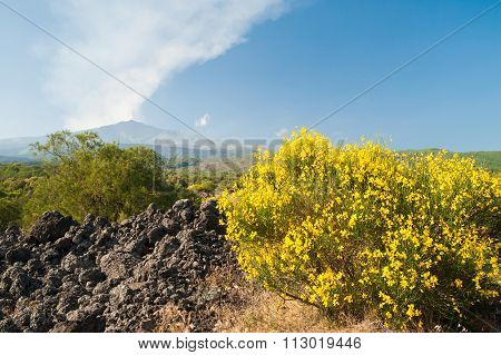Etna Landscapes