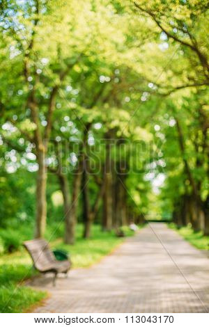 Blurred abstract bokeh bakground of Walkway Lane Path With Green