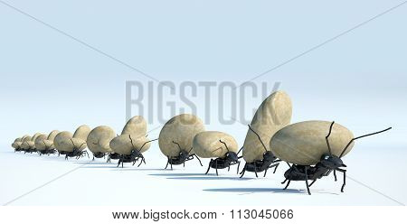 Concept Work, Team Of Ants