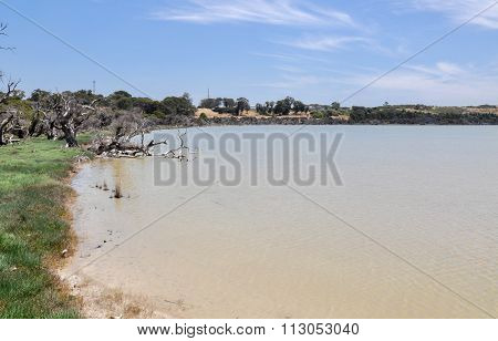 Lake Coogee Wetland Landscape