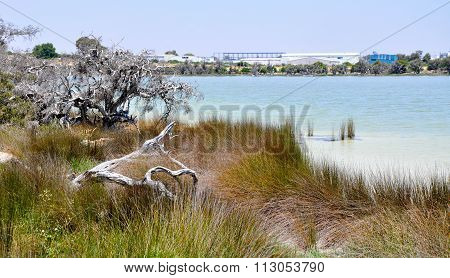 Lake Coogee, Western Australia