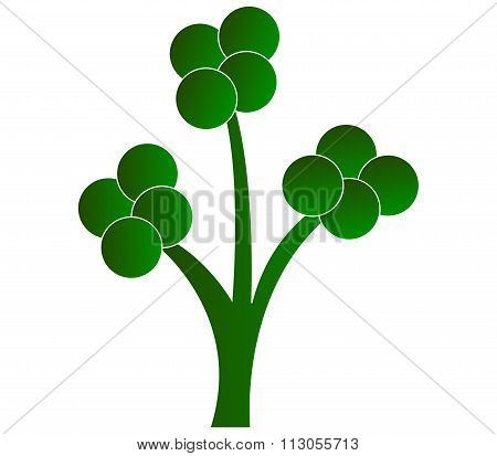 tree with leaves shown on a white background