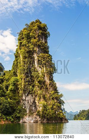 Beautiful Nature View
