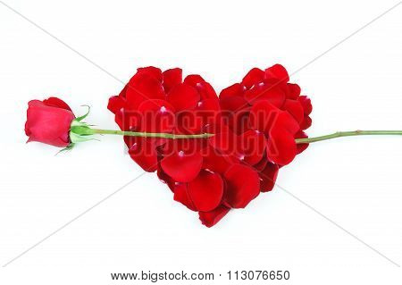 rose petals red heart with single rose as arrow