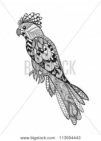 Zentangle stylized parrot.
