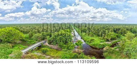 Melaleuca forests in U Minh Overview
