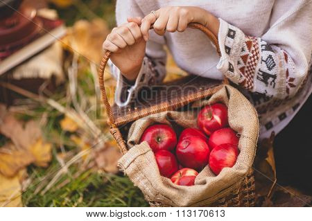 girl hands and red apples